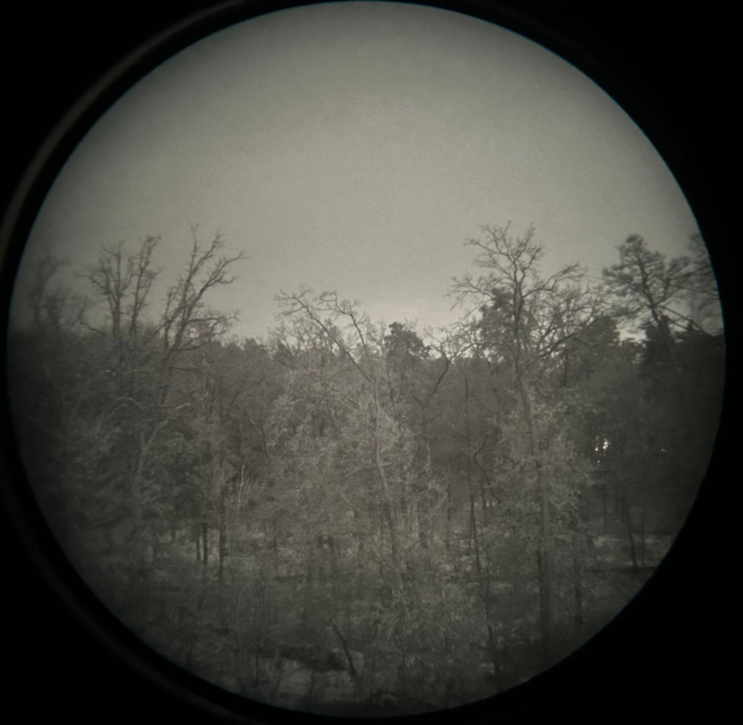 White Phosphor Filter