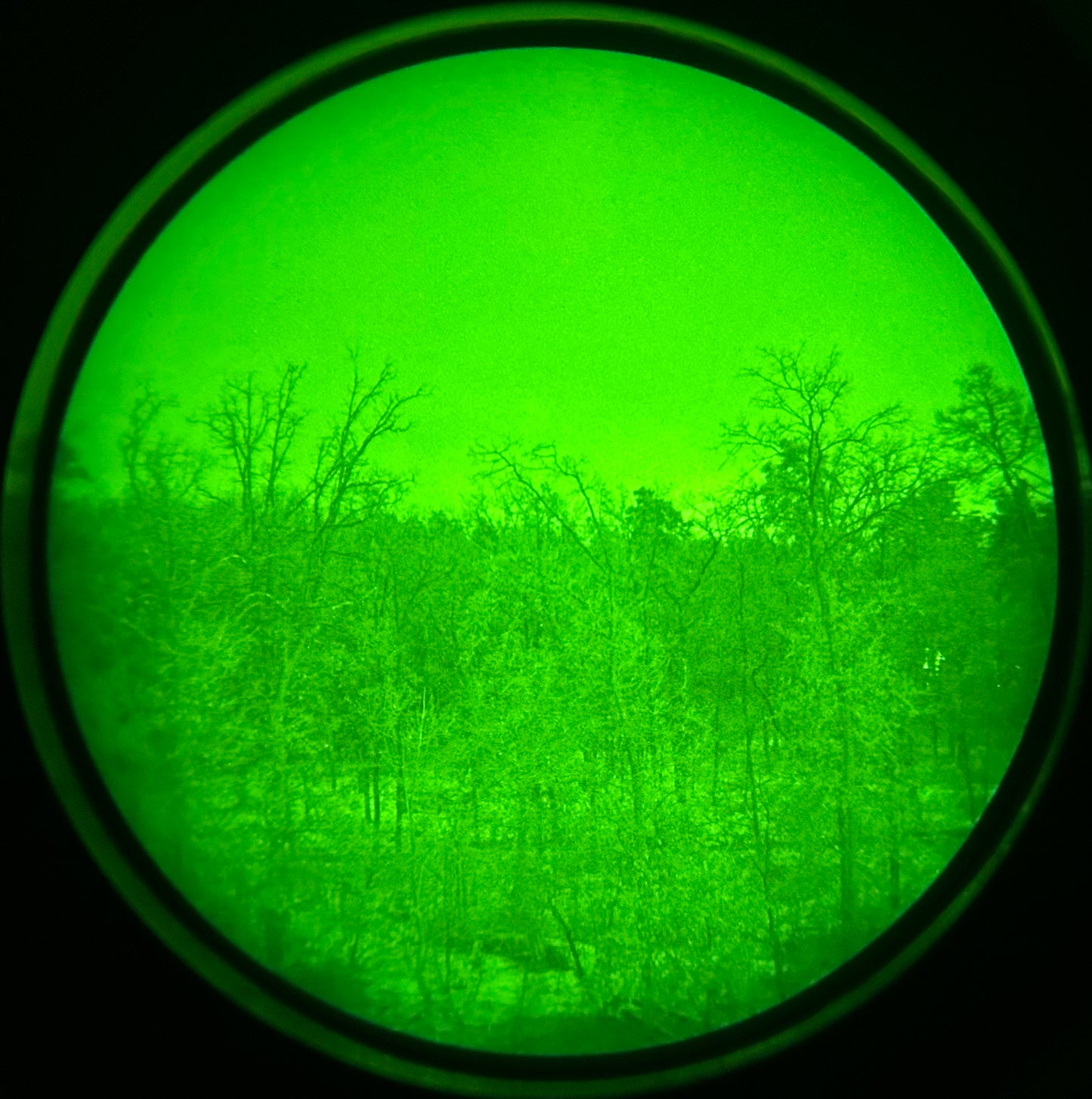 White Phosphor Filter